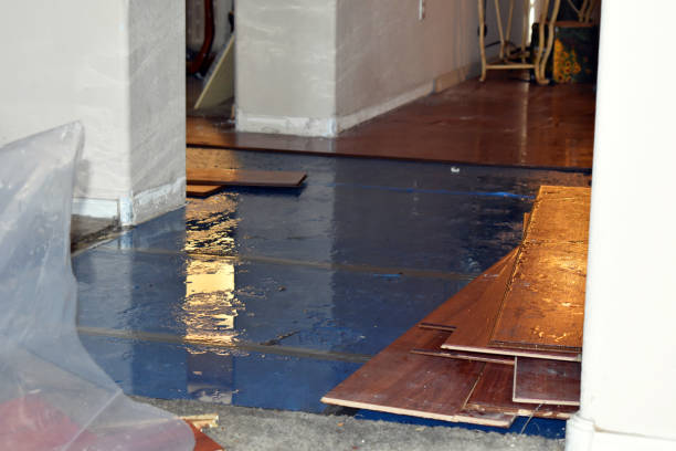Professional Burst Pipe Cleanup technician working in Winn, ME